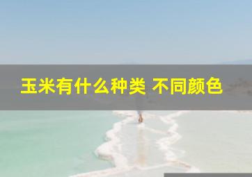 玉米有什么种类 不同颜色